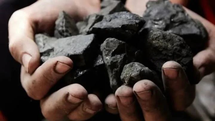 Aktivis Gorontalo Ingatkan Penegak Hukum Objektif Terkait Kasus Batu Hitam Aktivis Gorontalo